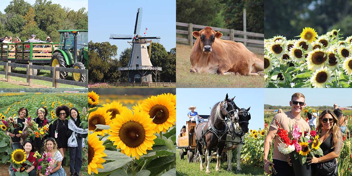 Holland-Ridge-Farms-Collage-Agosto-2026
